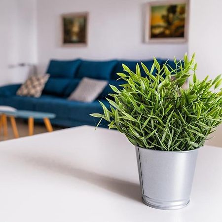 Amplio Apartamento Citycenter Kordoba Zewnętrze zdjęcie