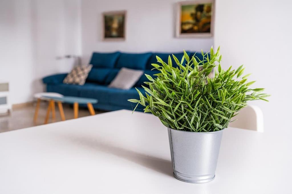 Amplio Apartamento Citycenter Kordoba Zewnętrze zdjęcie